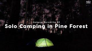 Solo Camping - Melewati Sungai Merah  ASMR