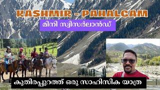 Pahalgam 2022 Kashmir  Most Beautiful  Mini Switzerland  Horse  Ride Experience  Malayalam Vlog