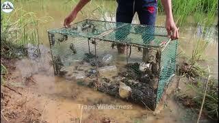 Wow best creative River Crab Trap using Iran net in the lake