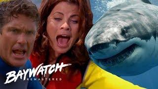 SHARK HUNT A GREAT WHITE SHARK Attacks Mitch & Caroline Baywatch Remaster