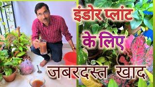 घरेलु चीजों से बनाएं जबरदस्त लिक्विड खाद  ll  Indoor plants fertilizer