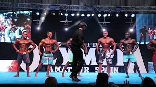 Mens Physique Overall Pro Qualifier @ Mr. Olympia Amateur Spain 2019