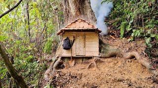 Building Complete Survival Bushcraft Shelter under the giant tree  King Of Satyr