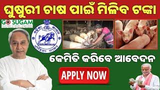 Go Sugam Portal Subsidy Scheme Apply OnlinePig Farming Apply OnlinePig Farming subsidy Scheme