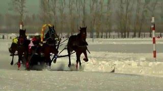 Гонка на тройках лошадей