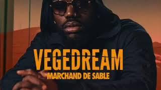 Vegedream - La fuite  Feat. Dj Leska 