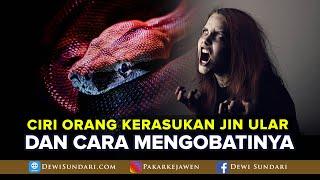 CIRI ORANG KERASUKAN JIN ULAR DAN CARA MENGOBATINYA