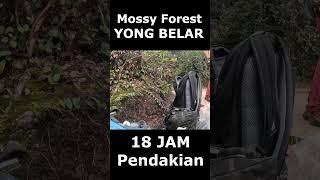 Gunung Yong Belar Hutan Berlumut18 Jam Mendaki  #araskyoutdoors #mountainscenery #malaysiamountains