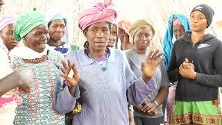 Les activités de la Wild Chimpanzee Foundation dans le Parc National du Moyen-Bafing en Guinée.