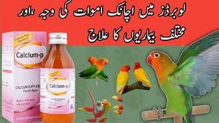 Calcium P syrup for birds  how to use calcium p syrup  calcium and vitamins for birds  Kh Avairy