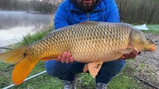 PESCANDO CARPAS CON EL MEJOR ARREGLO de regreso a la pesca