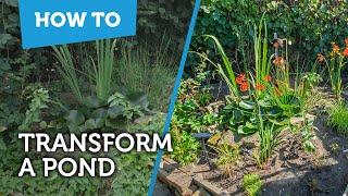 How To Transform a Pond  Small Garden Makeover