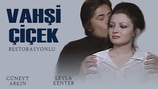 Vahşi Çiçek Türk Filmi  Restorasyonlu  CÜNEYT ARKIN  LEYLA KENTER