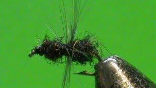 Fly Tying a Fur Ant with Jim Misiura