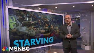 ‘Death by starvation is slow and cruel’ famine is projected to take hold of Gaza within weeks