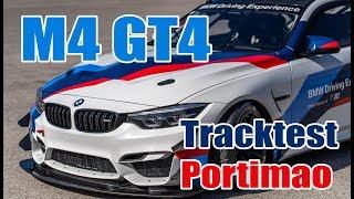 Tracktest BMW M4 GT4  Tim Schrick und Lucian Gavris