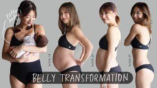 Pregnancy  Transformation Week by Week  Kryz Uy