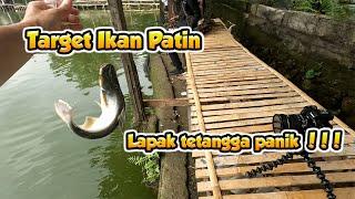 Umpan Cakwe ikan Patin Gacor  Bikin Tetangga Iri tatitbrata subscribersSubscribe