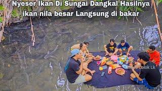 Nyeser ikan Di Sungai dangkal dapat ikan Nila Besar hasilnya langsung di bakar