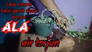 cara mudah buat bonsai kimeng gaya air terjun