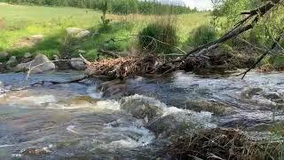 Уулын горхи  Mountain stream