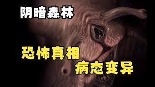 畸形夢境與變異的真相—陰暗森林P3 完結【小黑雜談】