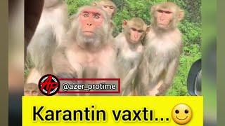 Karantin vaxtı...quarantine time