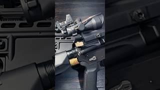 Trijicon ACOG - RMR vs ELCAN SpecterDR 1x4x