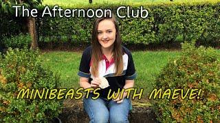 Nature – Make your own minibeast  The Afternoon Club