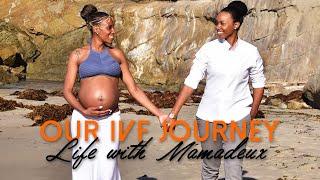 Our IVF Journey Life with Mamadeux