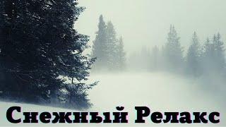 Звуки Метели и Сильная Вьюга в Лесу Расслабляют и Успокаивают