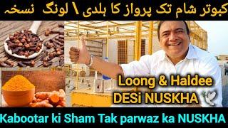 Kabootar ki parwaz ka DESi Nuskha  Garanted Parwaz 100 %  pigeon flying tournament formula