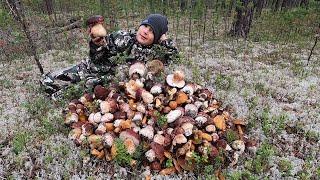 ГРИБЫ ПРУТЬ НАШЛИ СВОЮ ПОЛЯНУ С БЕЛЫМИ ГРИБАМИ ПОЛНЫЕ ВЁДРА  ГРИБОВ СЕЗОН 2022 ПРОДОЛЖАЕТЬСЯ