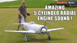 IS THIS BEST SCALE SOUND ? GIANT RUSSIAN RC LAVOCHKIN La-11 with MOKI 250cc 5 cylinder RADIAL ENGINE