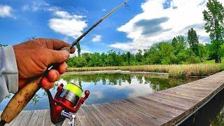 Bluegill Bed Fishing How To Find Bluegill Beds