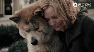 Hachi A Dogs Tale 2009 - To Train Together - Jan A.P. Kaczmarek