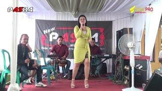 PRIA IDAMAN - NEW PASHA musik - voc Putri Kamila