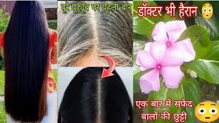 कसम से एक बार लगा कर देखो सारे सफेद बाल जड़ से काले हो जाएंगे  White Hair To Permanent Black Colour