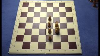 Schach lernen in 30 Minuten
