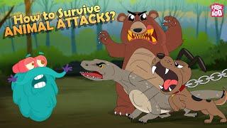 How to Survive Animal Attacks - Bear Dog Shark Komodo Dragon & Giant Squid  The Dr. Binocs Show