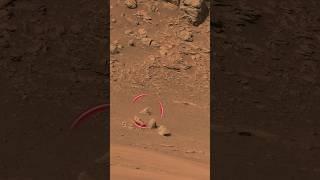 InfMars - Perseverance Sol 718 - Shorts Video 1 “Pinestand”