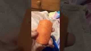 Sad carrot