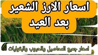 اسعار الارز الشعير اليوم _ اسعار الارز وجميع المحاصيل والبقوليات بعد العيد