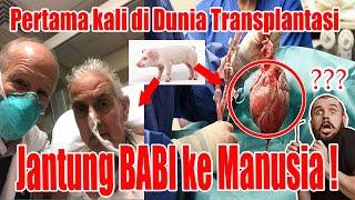 PERTAMA KALI TRANSPLANTASI JANTUNG BABI KE MANUSIA