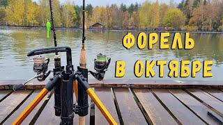 Форель в октябре