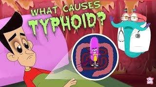 What Causes Typhoid?  The Dr. Binocs Show  Best Learning Videos For Kids  Peekaboo Kidz