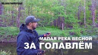 ЗА ГОЛАВЛЁМ. Малая река в Мае. РЫБАЛКА НА СПИННИНГ ВЕСНОЙ. Воблеры на Голавля.