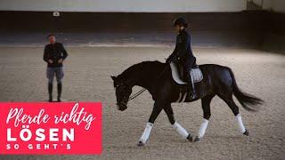 Besser reiten mit Christoph Ackermann  Pferde richtig lösen