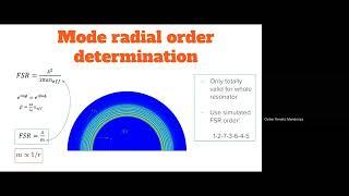 Mode-cleaning in microresonators with GO finite element simulation