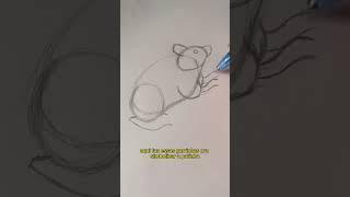 Como desenhar um rato #arte #caderninho #desenho